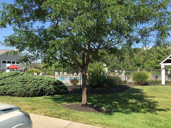 swimming pool and club house