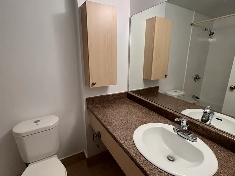 263 Maclaren St #502 — Photo 11
