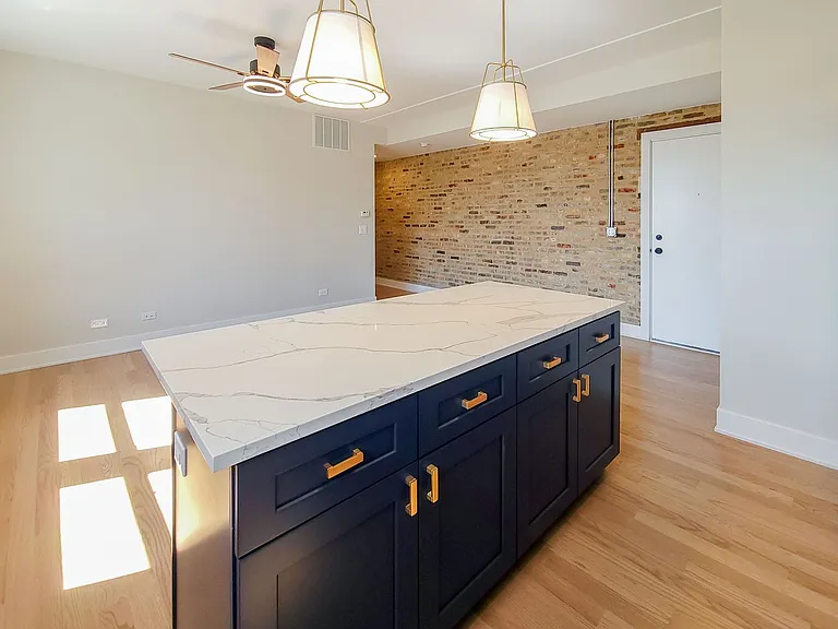 2020-36 W. Montrose / 4405-09 N. Seeley — Photo 16