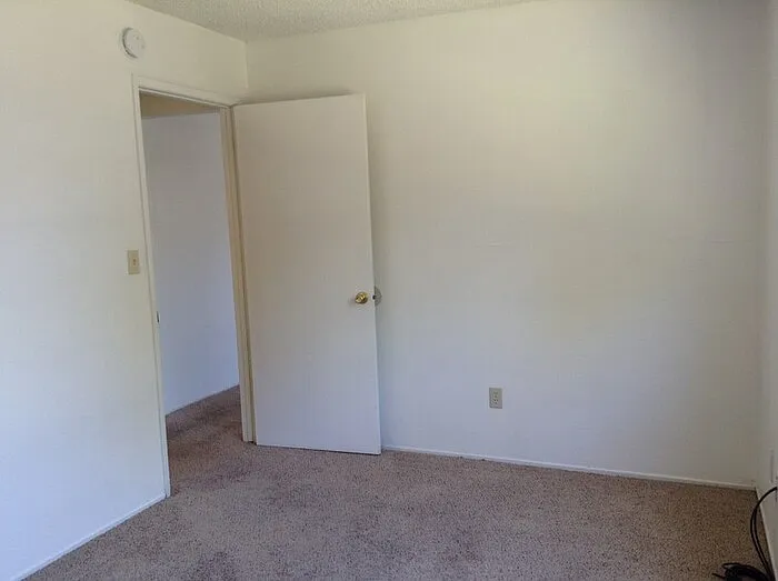 519 Downie St #519 — Photo 4