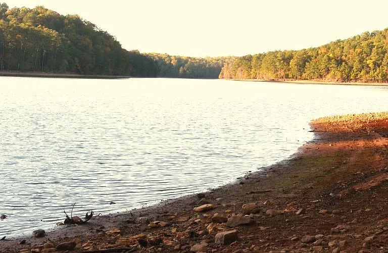 Lake Alatoona behind our house.