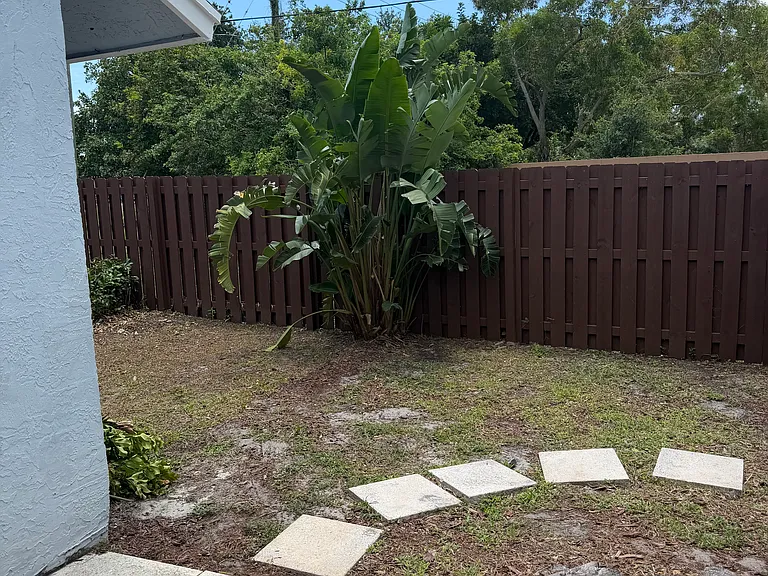 Backyard