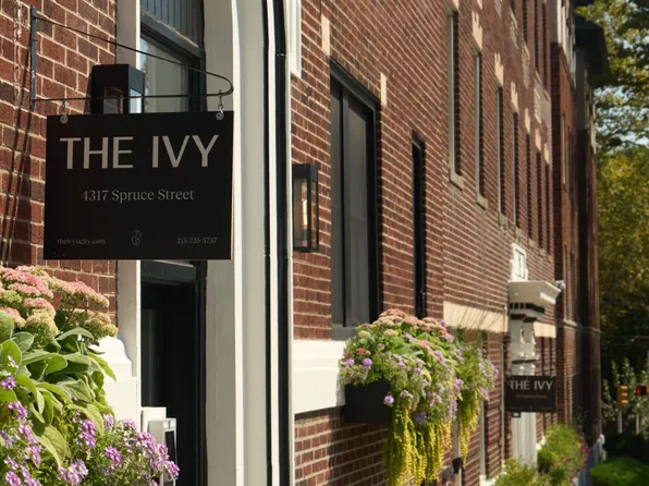 The Ivy