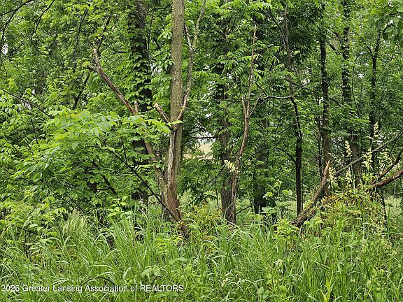 4th image of 14540 S Wacousta Rd