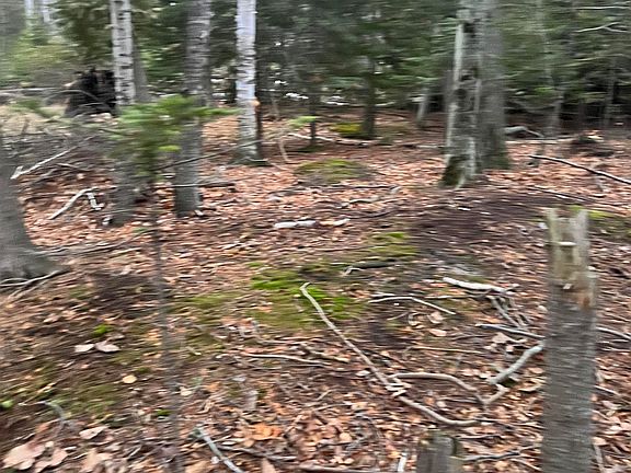 4th image of 0 Torch Lake Dr