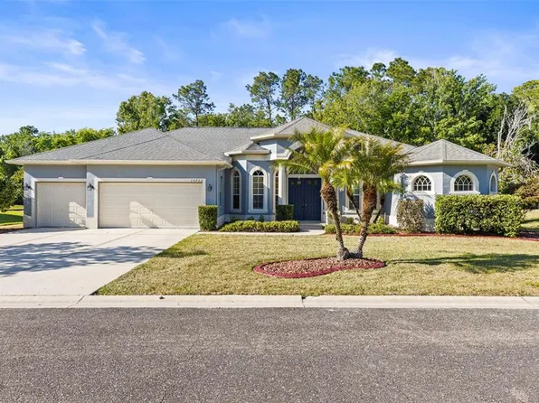 10726 Miracle Ln, New Port Richey, FL 34654