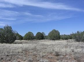 4th image of 274 Lucky Lane Ash Fork Az