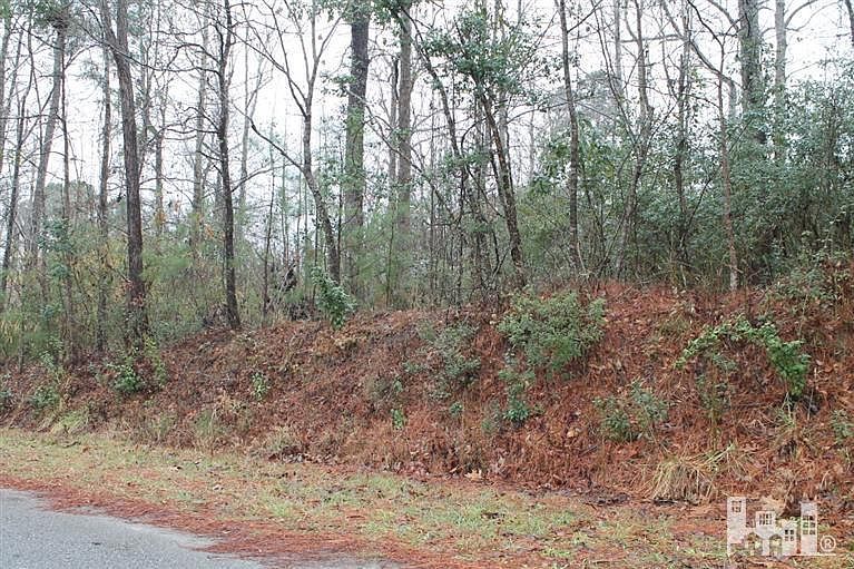2nd image of 339 W Creekview Drive LOT 46
