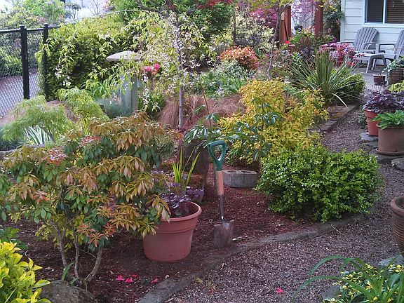 Front Yard