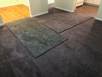 Carpet in main living/Bedroom and hall area