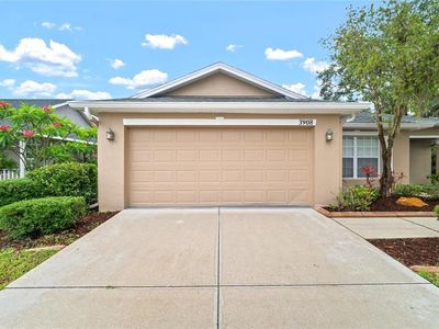 3908 Douglas Hill Pl, Parrish, FL, 34219