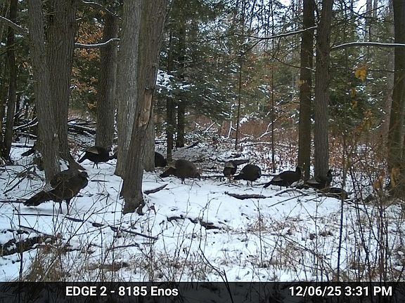 5th image of 73 Valley Rd