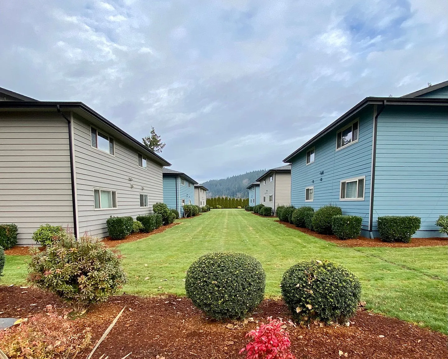Timberlane Apartments — Photo 2