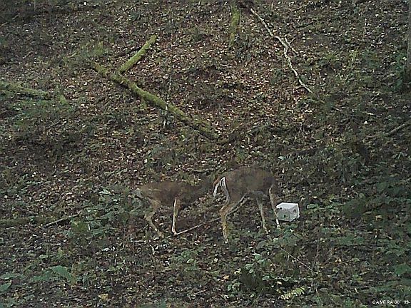 5th image of 19056 Turnpike Rd