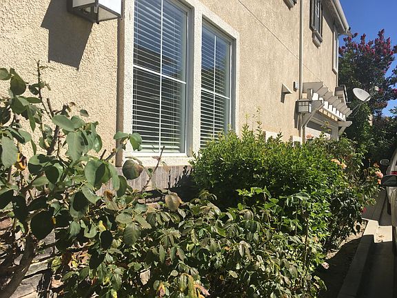 Front Yard (garage side)