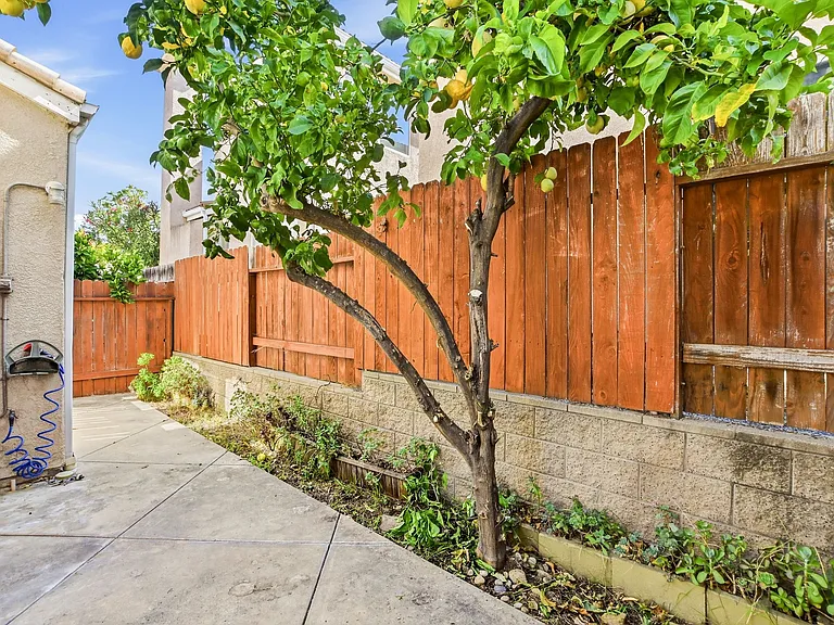 10955 Caminito Arcada — Photo 27