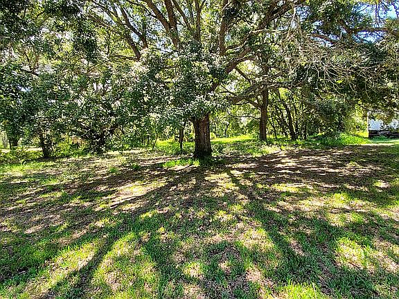 3rd image of 851 Violet Dr