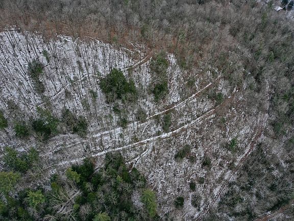 5th image of 12826 Gauley Tpke