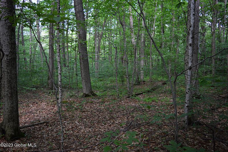 5th image of Lot #6 Bogtown Road