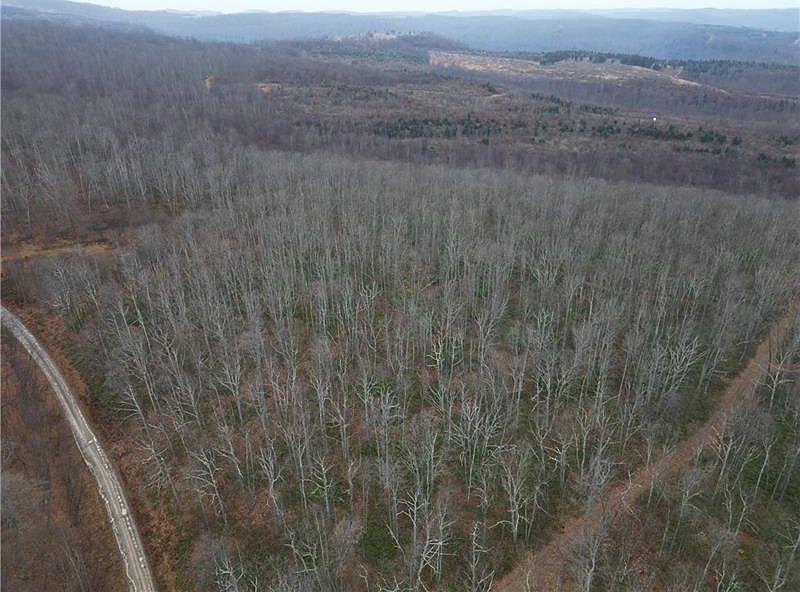 0 Johnson Rd, Mahaffey, PA 15757 MLS 1638070 Zillow