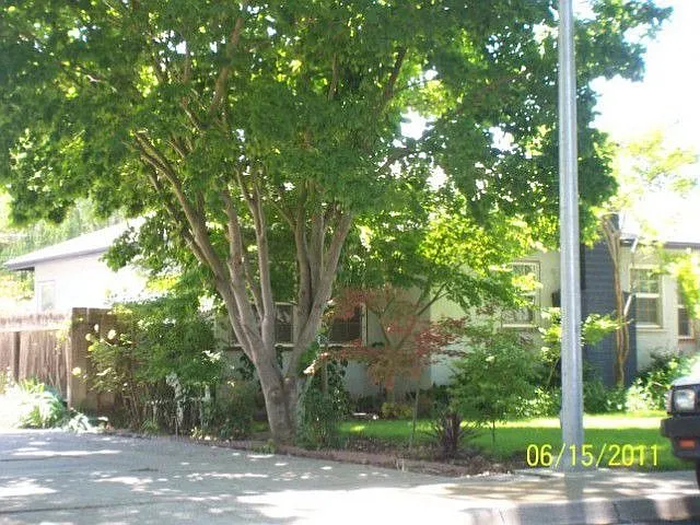 1612 Concord Ave photo 1