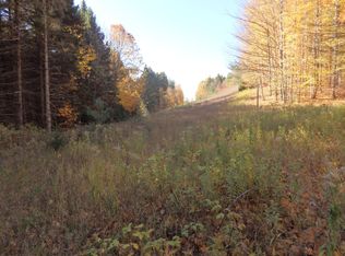 Chief Rd, Bear Lake, MI 49614