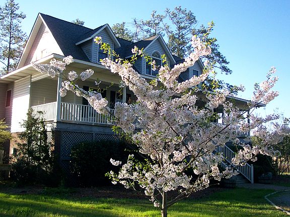 Spring time