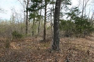 1st image of LOT 11 E Persimmon Point