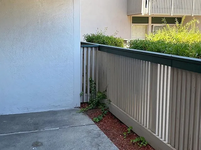 Tradewind Surf Apartments — Photo 13