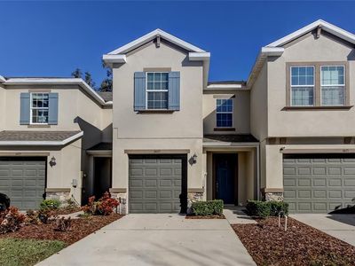 6623 Citrus Creek Ln, Tampa, FL, 33625