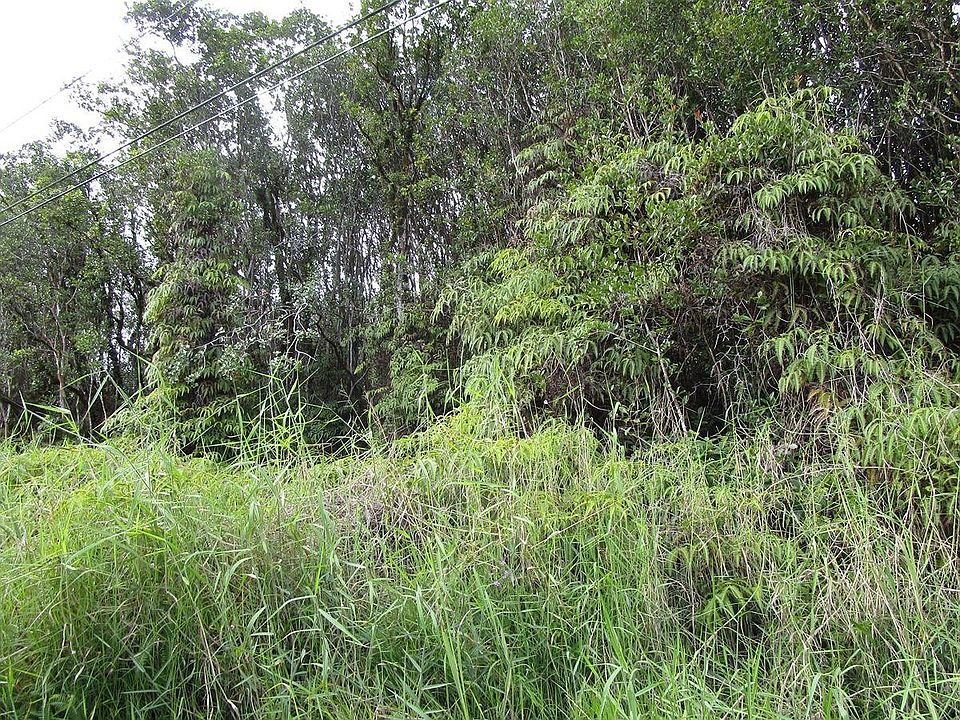2nd image of Waikiki St Lot 15