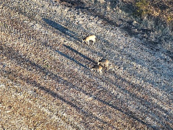 5th image of SW State Rte N