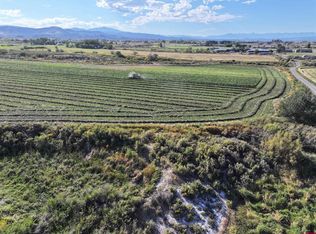 TBD 6900 Road, Montrose, CO 81401