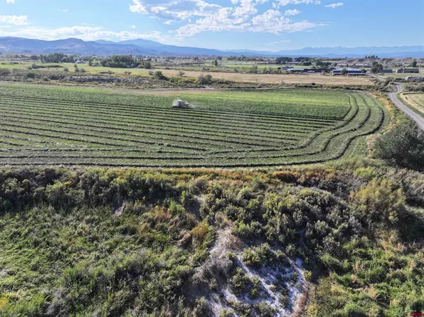 TBD 6900 Road, Montrose, CO 81401