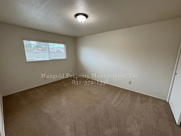 255four — Photo 5
