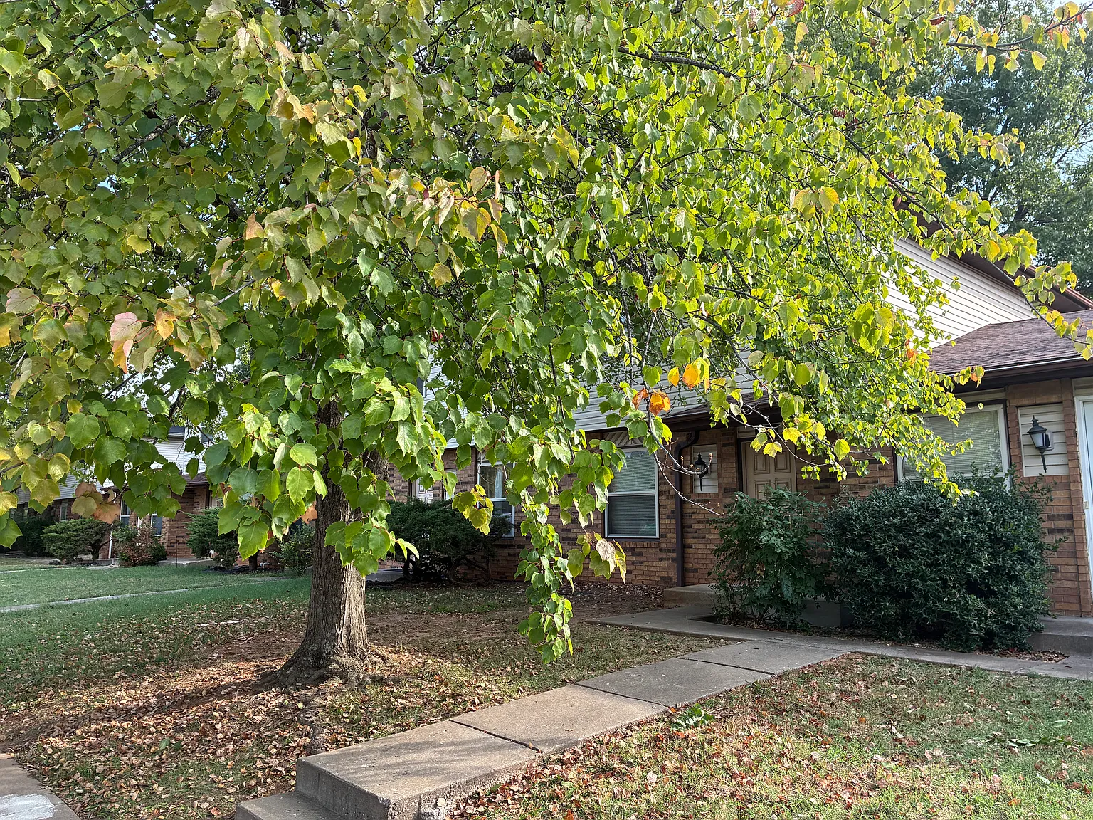 2 bed, 1.5 bath, 900 sqft, $995 — Photo 3