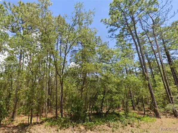 4677 N Saddle Dr, Beverly Hills, FL 34465