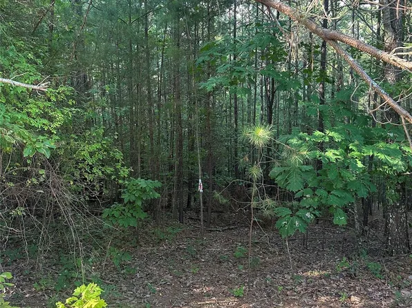 Hidden Lake Pkwy #50, Nebo, NC 28761