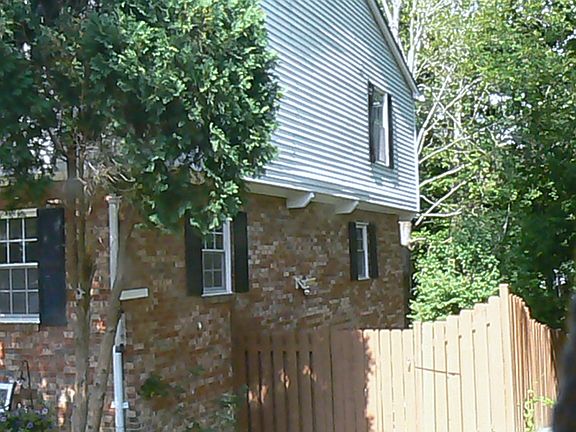 Side View