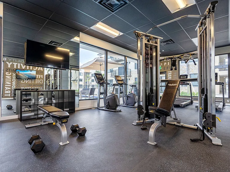 Sweat, Sculpt, Repeat