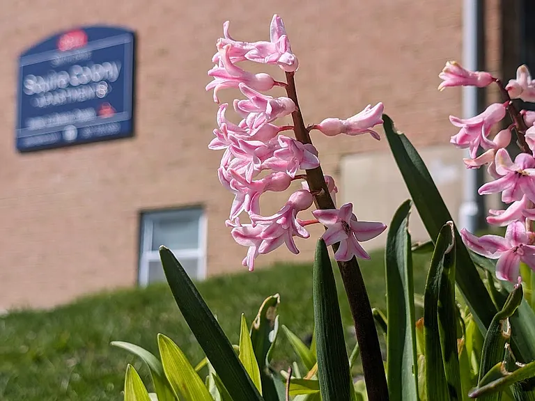 Squire Colony Apartments — Photo 5