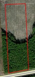 172524 Andrews Rd, Hilliard, FL, 32046