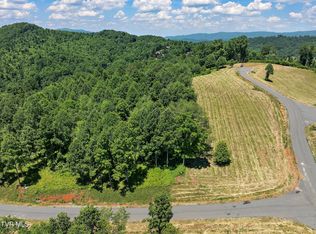 LOT 42 Eagle Ridge Pkwy, Butler, TN 37640