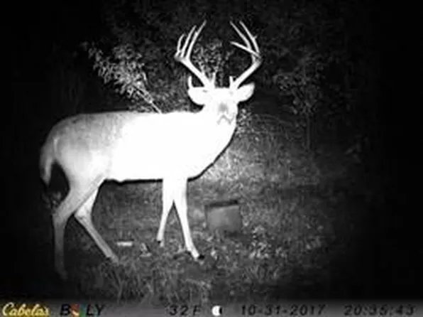 3025 Utah Rd, Rantoul, KS 66079