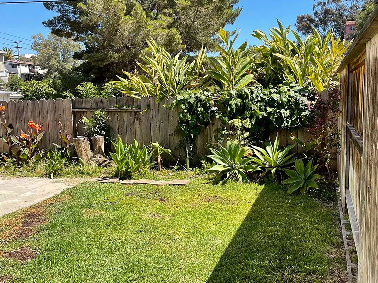 Grass-garden area of backyard