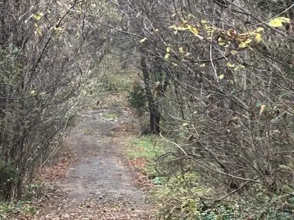 0 Dawson Point Lots 57 #&-81, Madison Heights, VA 24572