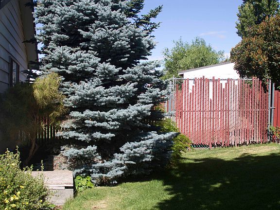 North side with shed in back