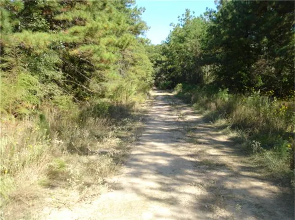 0 Red Rd, Shepherd, TX 77371