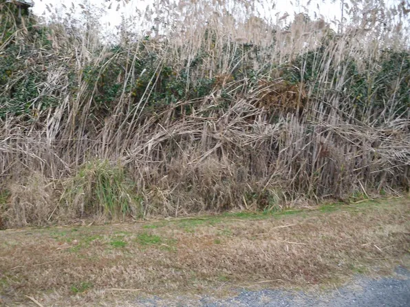 289&290 N Hibiscus Dr #289, Chincoteague Island, VA 23336