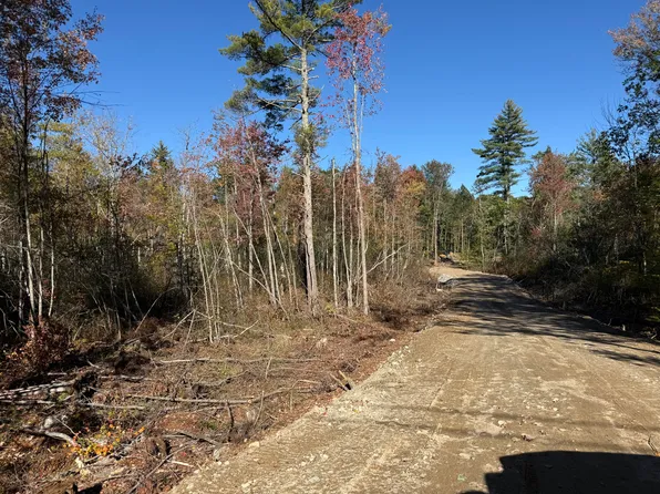 Lot B & C Cape Road, Limington, ME 04049